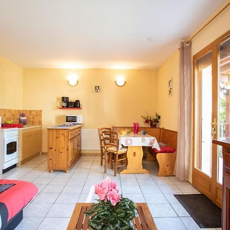 Le Mont Guillaume - 1 Chambre Terrasse Et Jardin Apartment Saint-André-dʼEmbrun Екстериор снимка